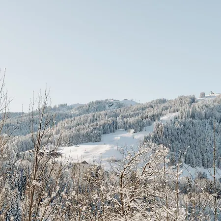 Les Du Mont D'arbois Hotel 5*